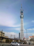 TS3N31720001.jpg