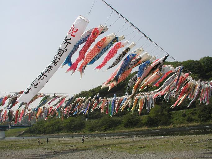 相模川高田橋のこいのぼり 風景写真